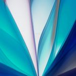 Fluid abstract shapes in cyan and black colors